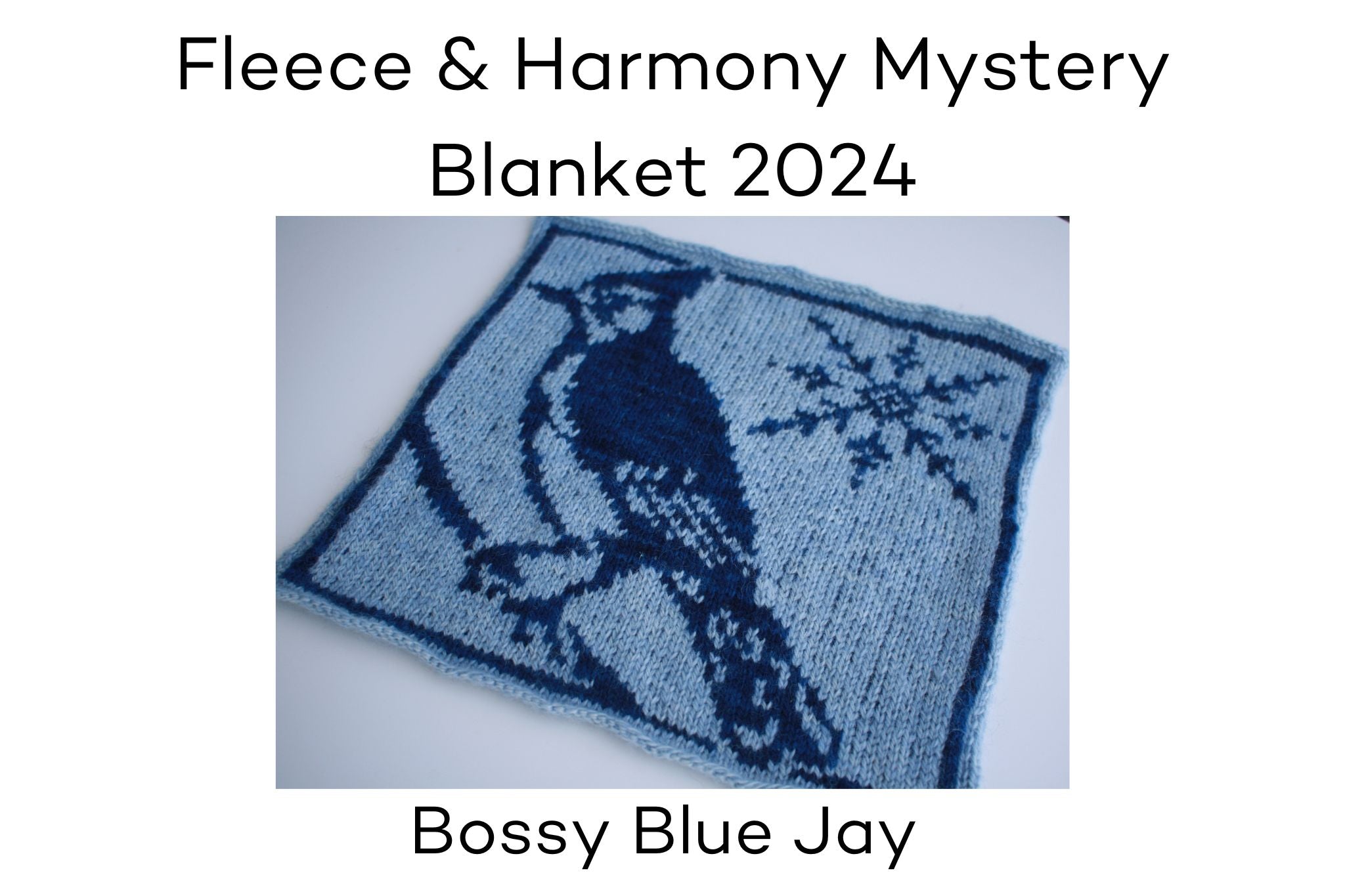 Fleece and Harmony Blanket 2024 January