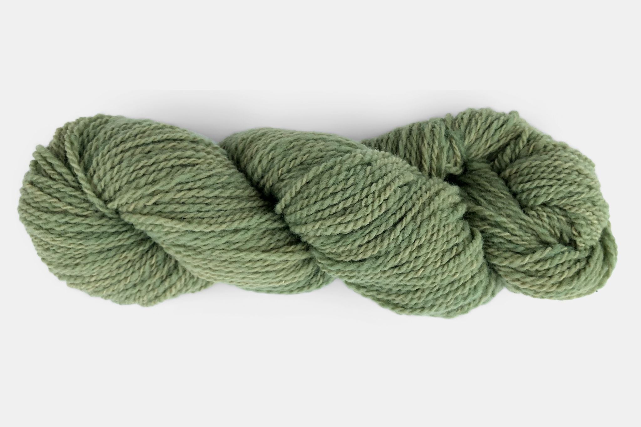 Fleece and Harmony Selkirk Worsted in Clover