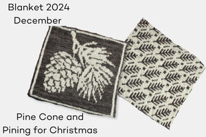 Fleece and Harmony Blanket 2024 December