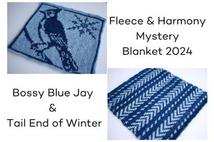 Fleece and Harmony Blanket 2024 January