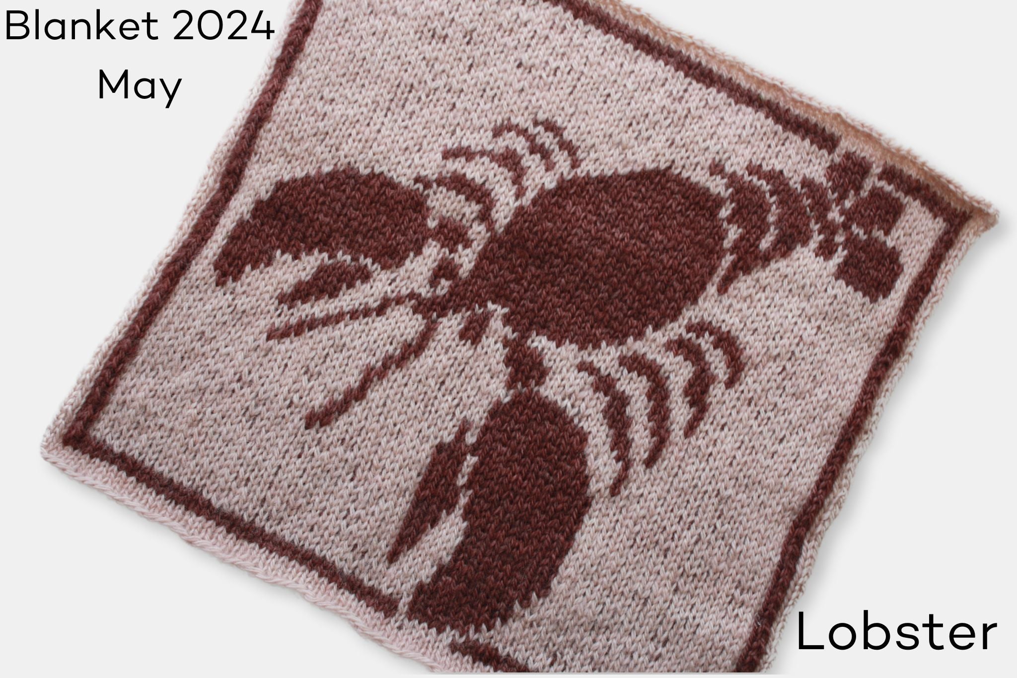 Fleece and Harmony Mystery Blanket 2024 Pattern May 2024 Selkirk Worsted in Chestnut and Sand 