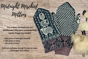 Midnight Mischief Mitten Kit