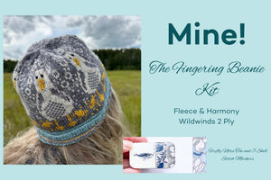 Fleece and Harmony Mine! Beanie Kit