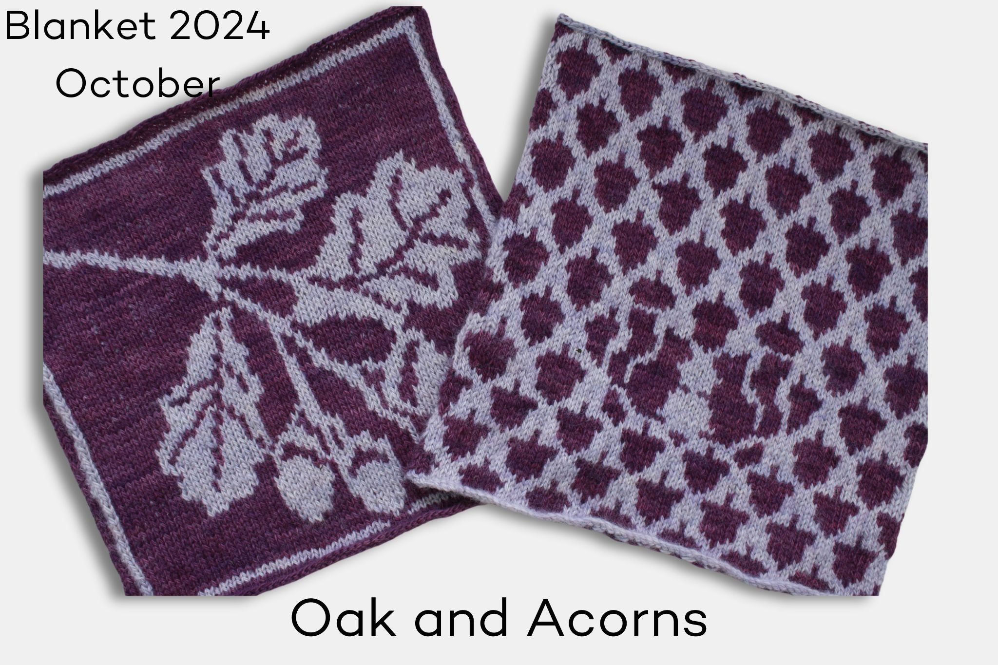 Fleece and Harmony Blanket 2024 October