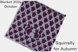 Fleece and Harmony Blanket 2024 Squirrelly for Autumn