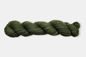 Fleece and Harmony Selkirk Worsted in Seaweed