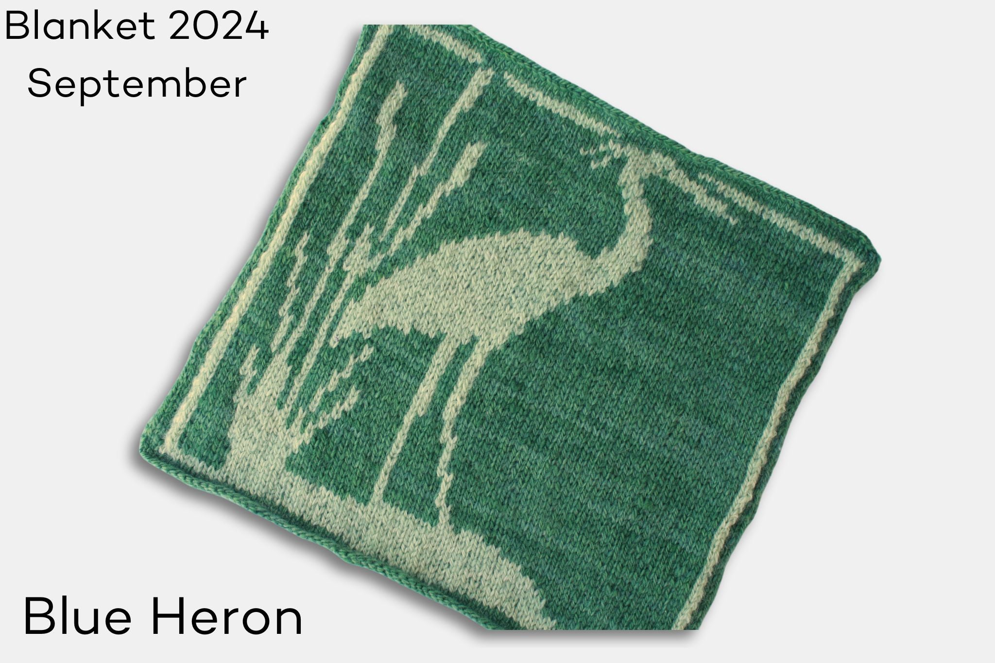 Fleece and Harmony 2024 Blanket Blue Heron Block in Selkirk Worsted