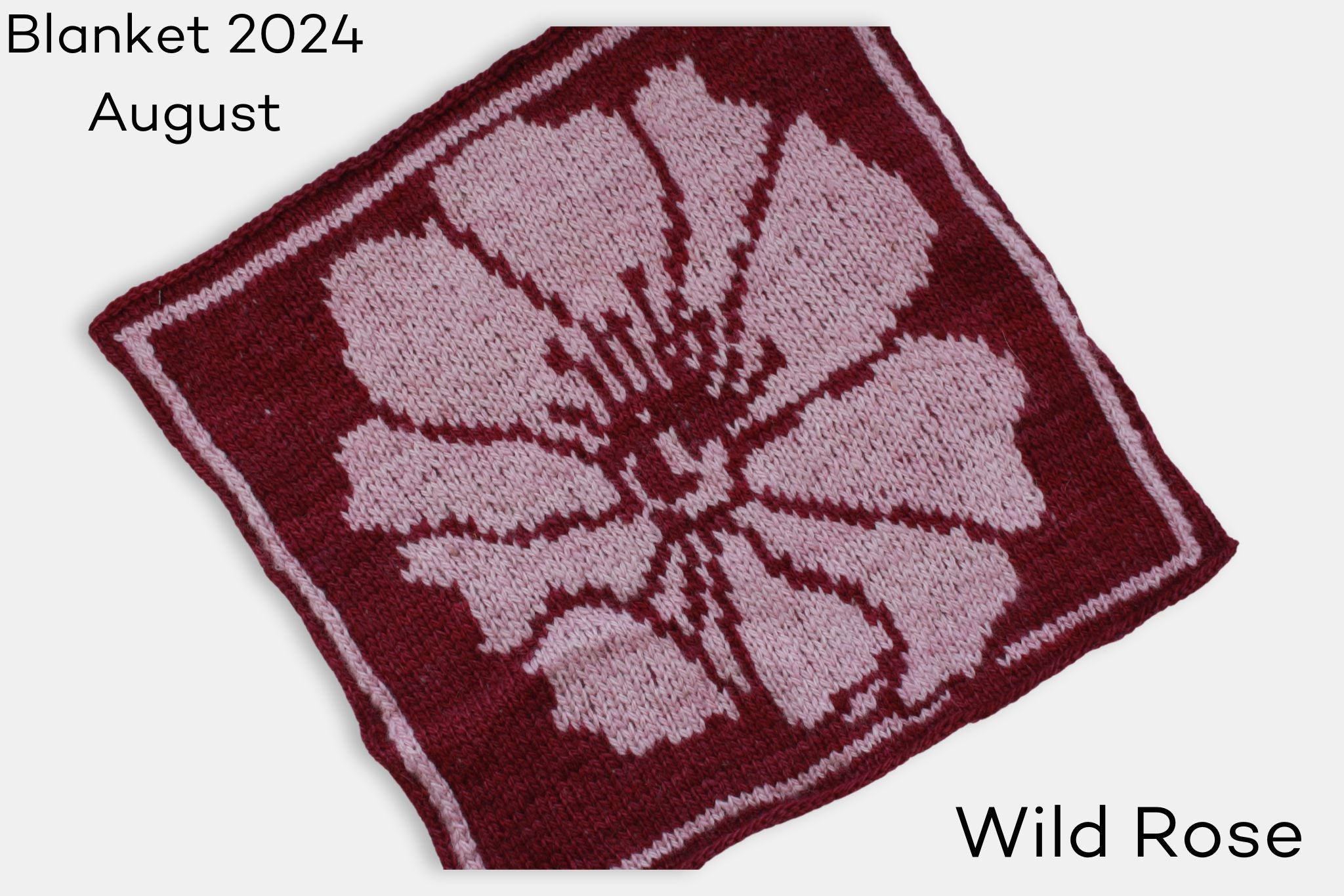 Fleece and Harmony Mystery Blanket 2024 Wild Rose