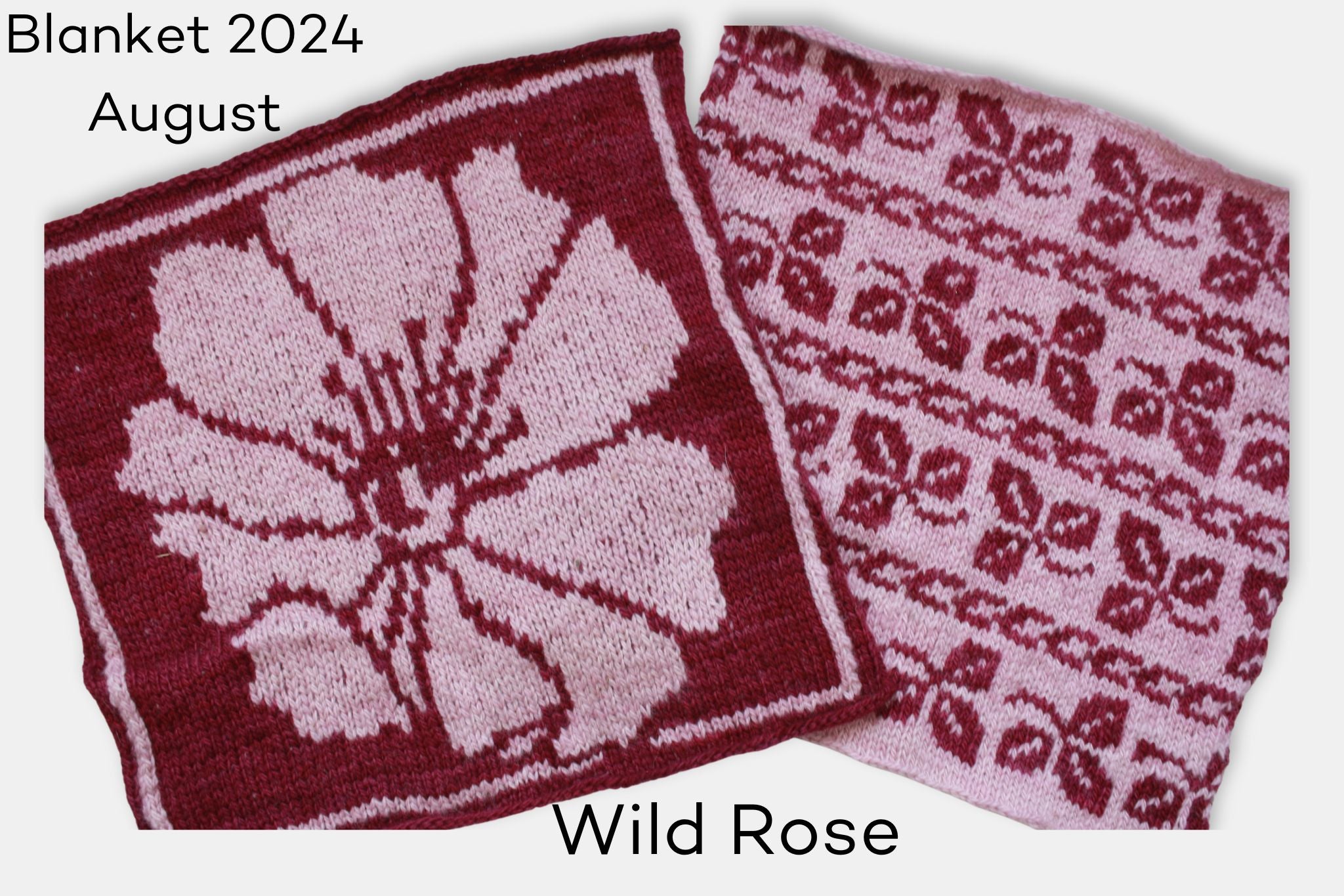 Fleece and Harmony Mystery Blanket 2024 Wild Rose