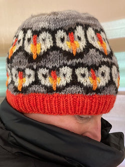 Puffin Hat Kit in Fleece and Harmony Selkirk Worsted