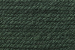 Fleece and Harmony Signature Aran in Fir