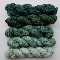 Fleece and Harmony Selkirk Worsted in the Green Gradient